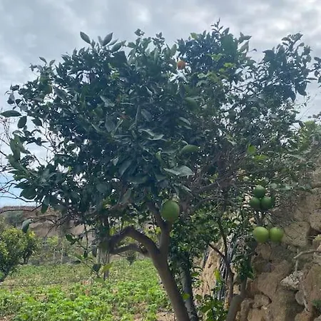 아파트 Abuelo Bailon Arico Viejo